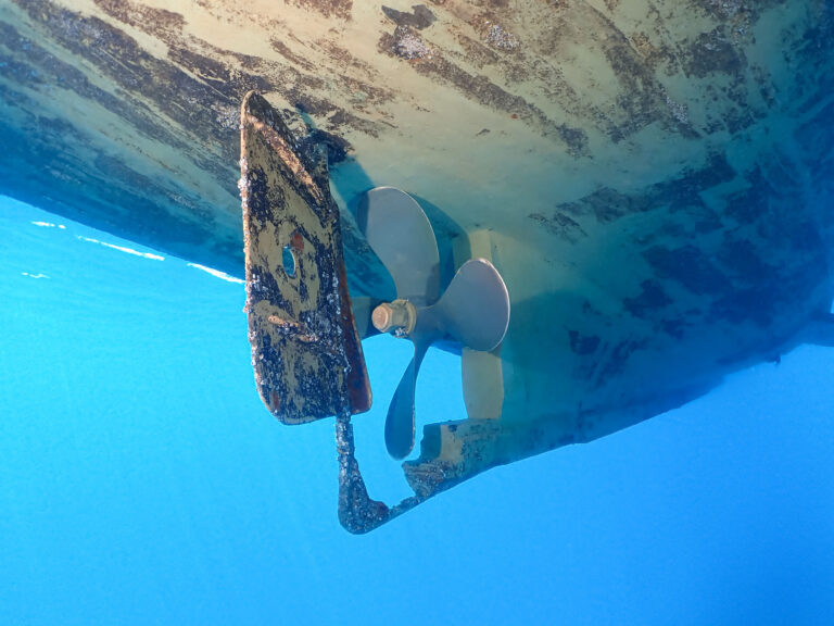 Florida Marine Growth and Why Maintenance Is Not Optional